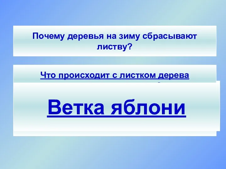 СЮРПРИЗ! Что происходит с листком дерева за период его жизни? Исследовательская