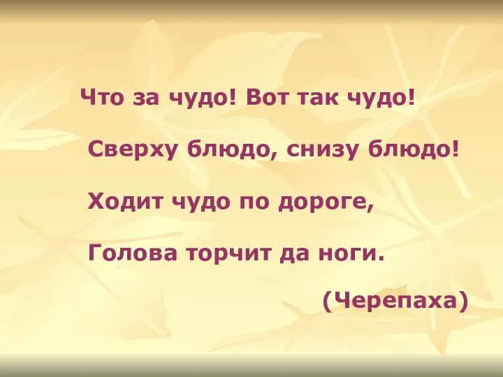 Что за чудо! Вот так чудо! Сверху блюдо, снизу блюдо! Ходит