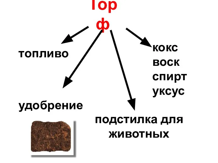 Торф топливо удобрение подстилка для животных кокс воск спирт уксус