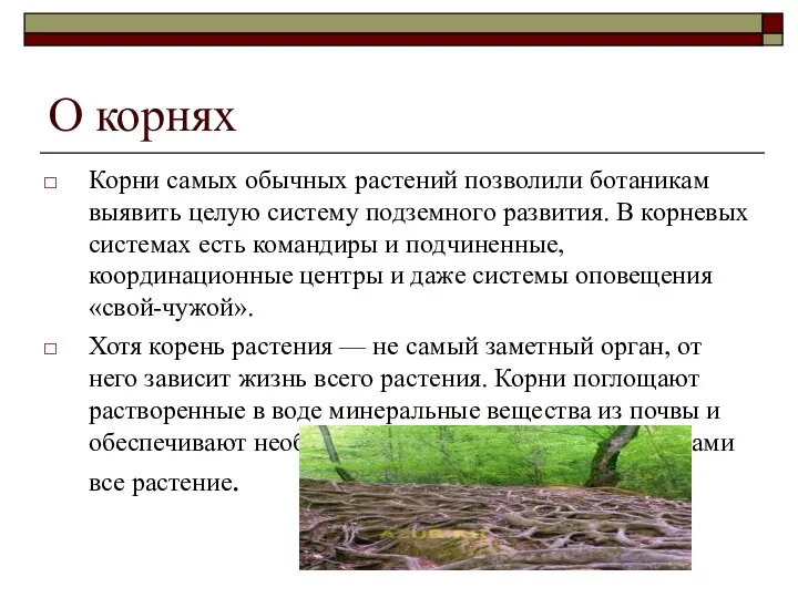 Корни самых обычных растений позволили ботаникам выявить целую систему подземного развития.