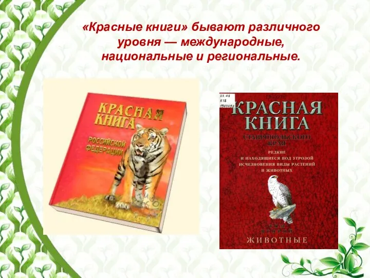 «Красные книги» бывают различного уровня — международные, национальные и региональные.