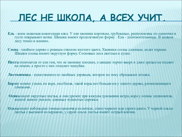 ЛЕС НЕ ШКОЛА, А ВСЕХ УЧИТ. Ель - всем знакомая новогодняя