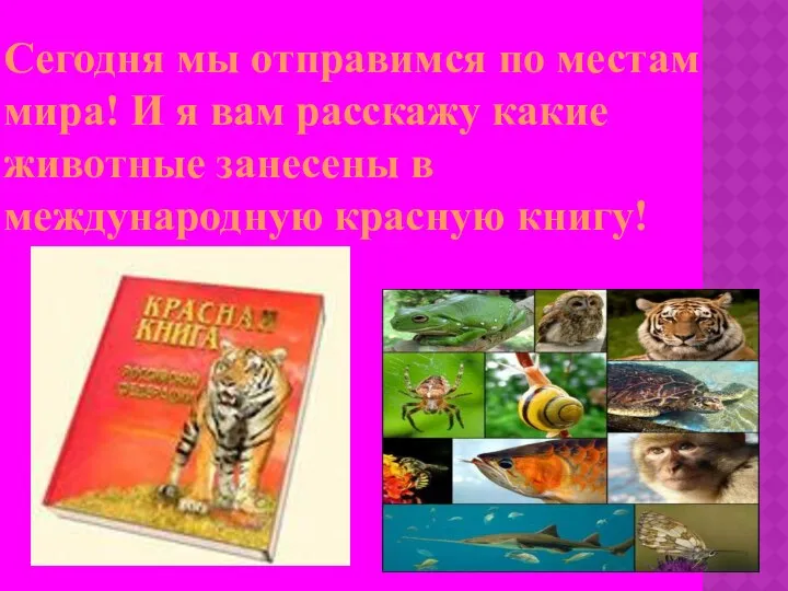 Сегодня мы отправимся по местам мира! И я вам расскажу какие