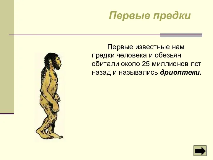 Первые известные нам предки человека и обезьян обитали около 25 миллионов