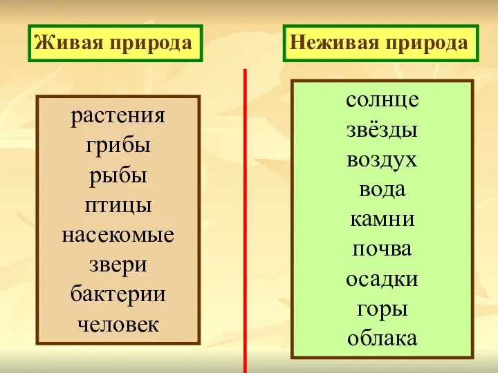 Живая природа Неживая природа солнце звёзды воздух вода камни почва осадки