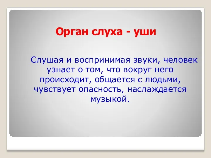 Орган слуха - уши Слушая и воспринимая звуки, человек узнает о