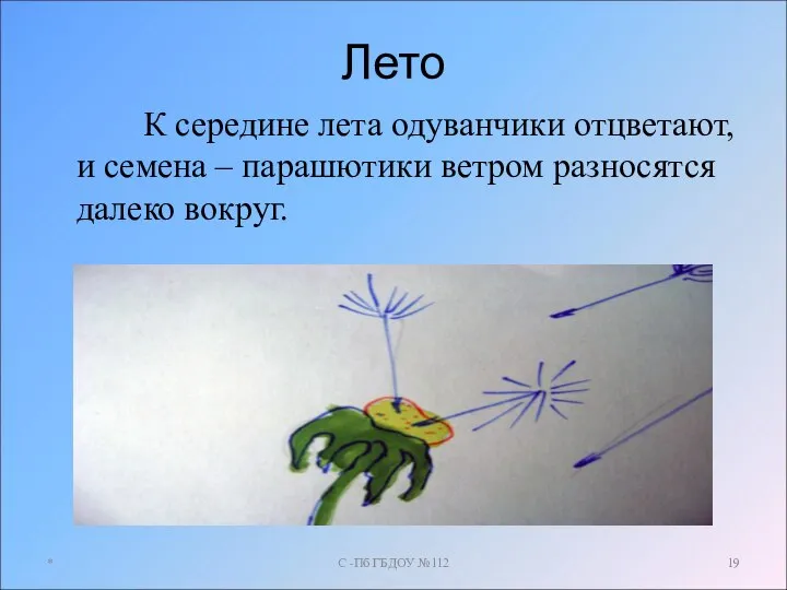 Лето К середине лета одуванчики отцветают, и семена – парашютики ветром