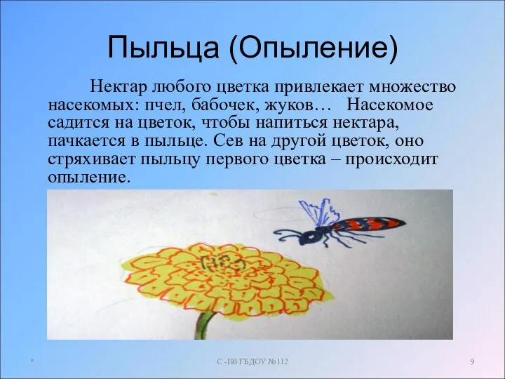 Пыльца (Опыление) Нектар любого цветка привлекает множество насекомых: пчел, бабочек, жуков…