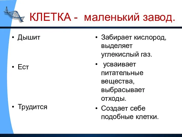 КЛЕТКА - маленький завод. Дышит Ест Трудится Забирает кислород, выделяет углекислый