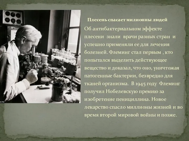 Об антибактериальном эффекте плесени знали врачи разных стран и успешно применяли