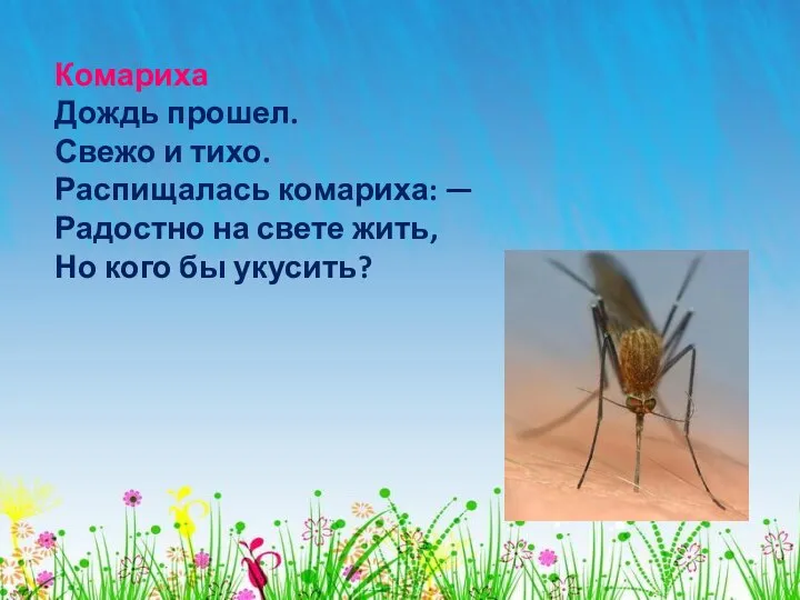 Комариха Дождь прошел. Свежо и тихо. Распищалась комариха: — Радостно на