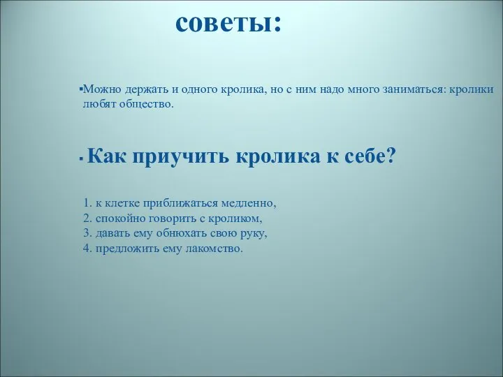 Можно держать и одного кролика, но с ним надо много заниматься: