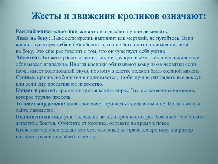 Жесты и движения кроликов означают: Расслабленное животное: животное отдыхает, лучше не