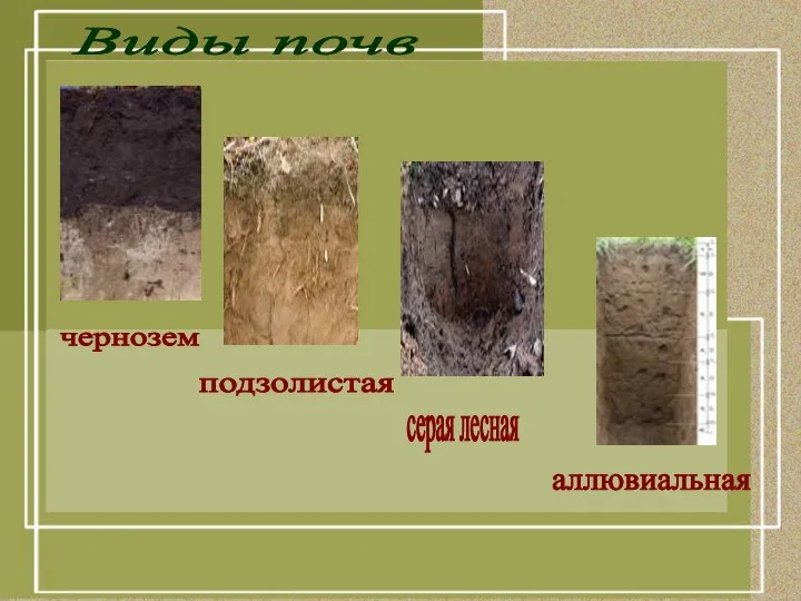 Виды почв чернозем подзолистая серая лесная аллювиальная