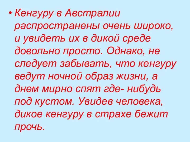 Кенгуру в Австралии распространены очень широко, и увидеть их в дикой