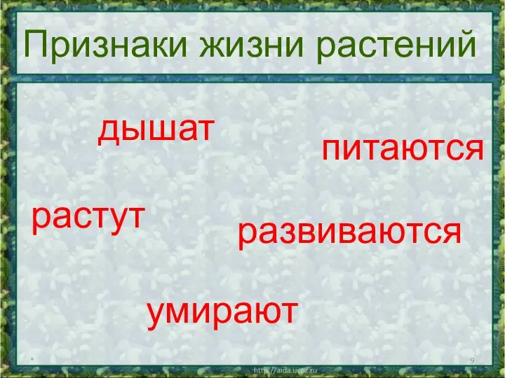 * Признаки жизни растений дышат питаются растут развиваются умирают