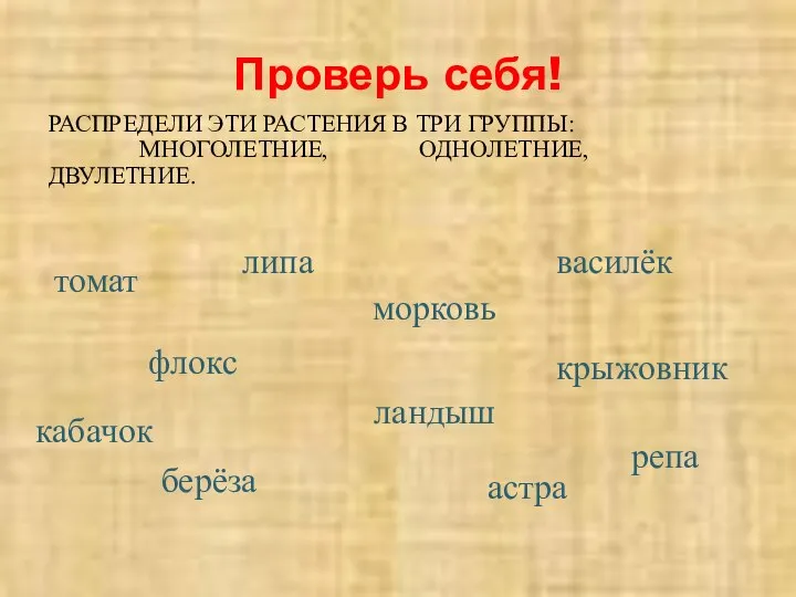 Проверь себя! РАСПРЕДЕЛИ ЭТИ РАСТЕНИЯ В ТРИ ГРУППЫ: МНОГОЛЕТНИЕ, ОДНОЛЕТНИЕ, ДВУЛЕТНИЕ.