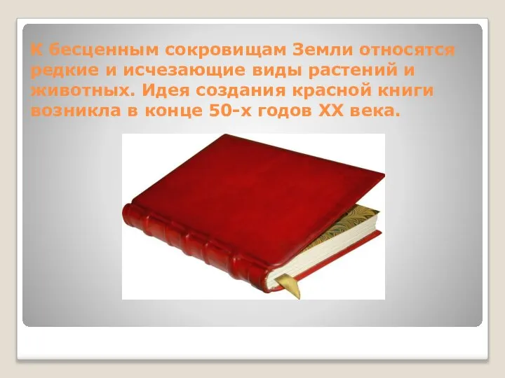 К бесценным сокровищам Земли относятся редкие и исчезающие виды растений и