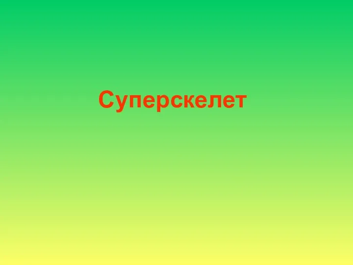 Суперскелет