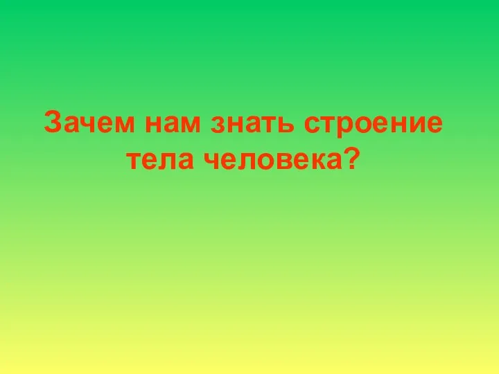 Зачем нам знать строение тела человека?