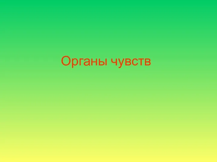 Органы чувств