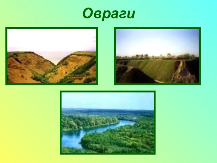 Овраги