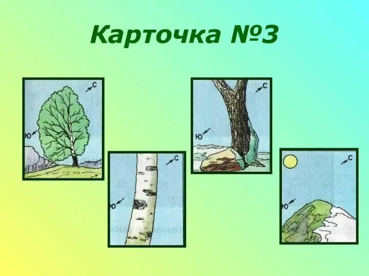 Карточка №3