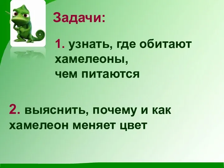 Задачи: 1. узнать, где обитают хамелеоны, чем питаются 2. выяснить, почему и как хамелеон меняет цвет