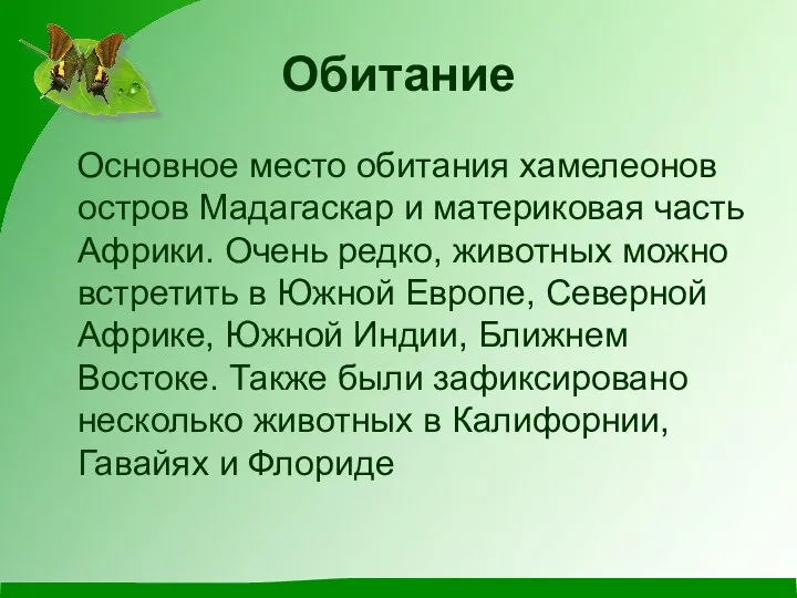 Обитание Основное место обитания хамелеонов остров Мадагаскар и материковая часть Африки.