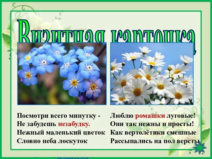 Визитная карточка Посмотри всего минутку - Не забудешь незабудку. Нежный маленький