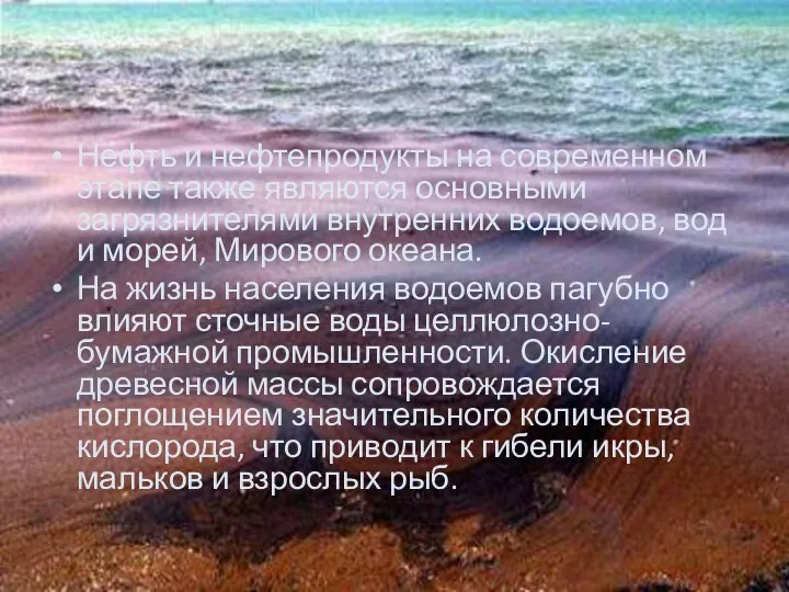 Нефть и нефтепродукты на современном этапе также являются основными загрязнителями внутренних