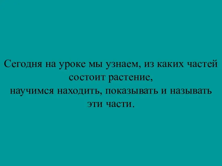 Сегодня на уроке мы узнаем, из каких частей состоит растение, научимся