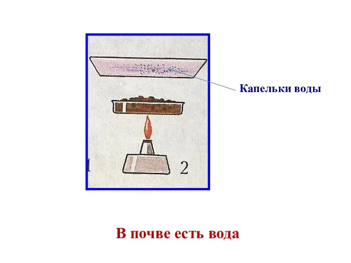 В почве есть вода Капельки воды