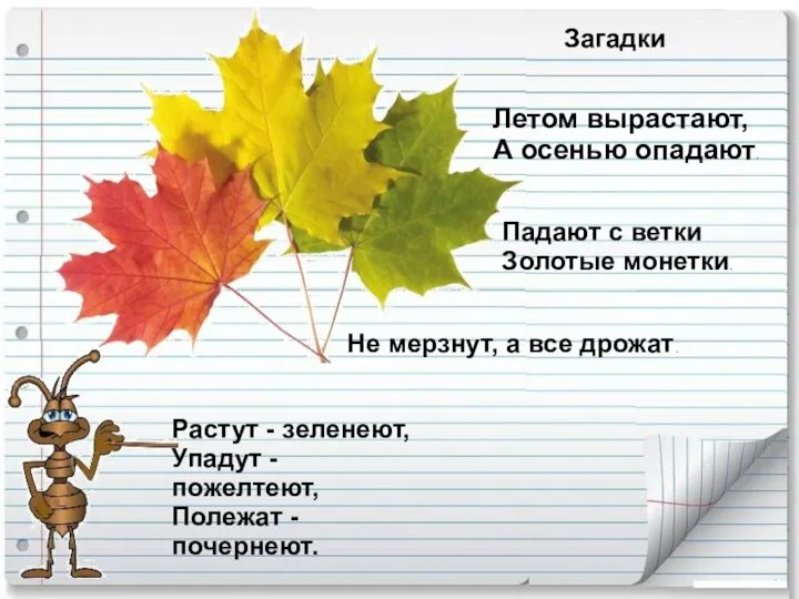 Загадки Летом вырастают, А осенью опадают. Падают с ветки Золотые монетки.