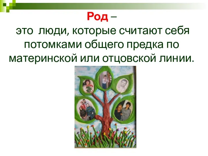 Род – это люди, которые считают себя потомками общего предка по материнской или отцовской линии.