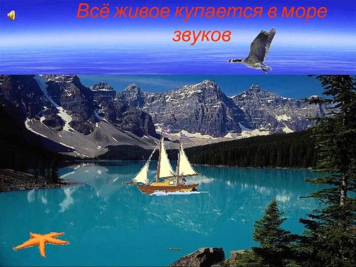 Всё живое купается в море звуков