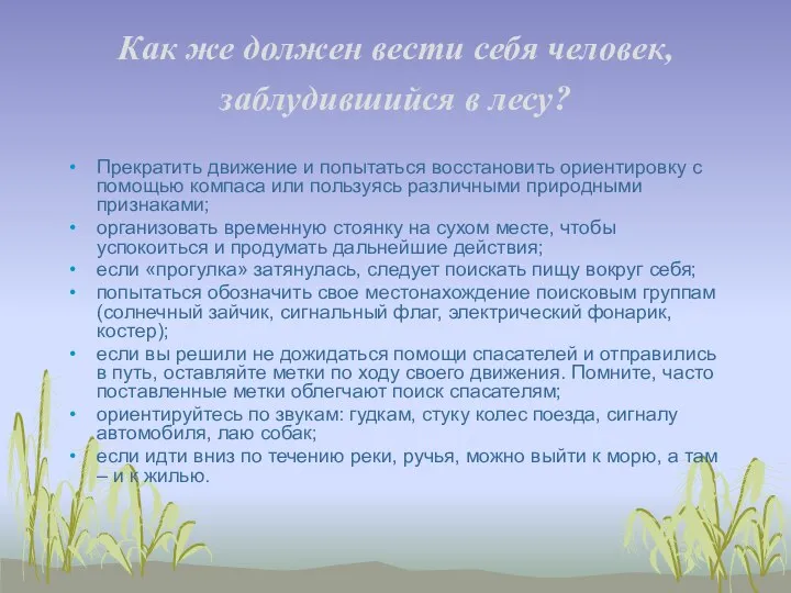 Как же должен вести себя человек, заблудившийся в лесу? Прекратить движение