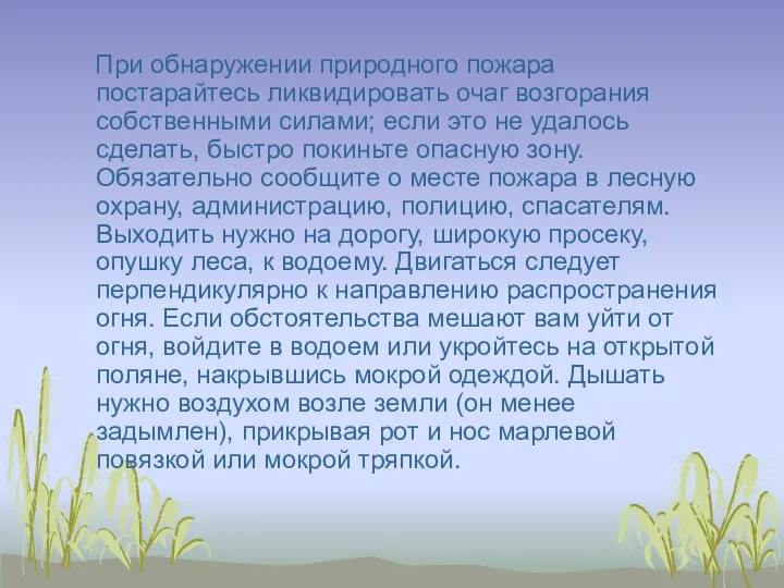 При обнаружении природного пожара постарайтесь ликвидировать очаг возгорания собственными силами; если