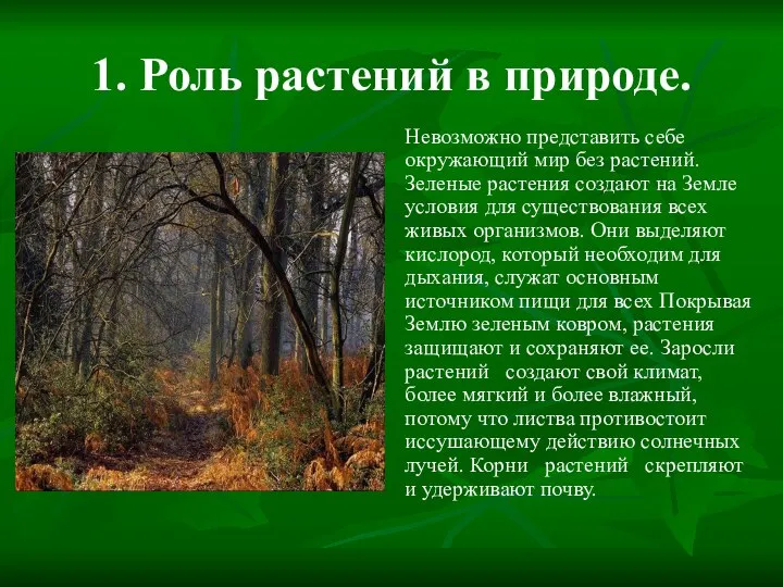 1. Роль растений в природе. Невозможно представить себе окружающий мир без