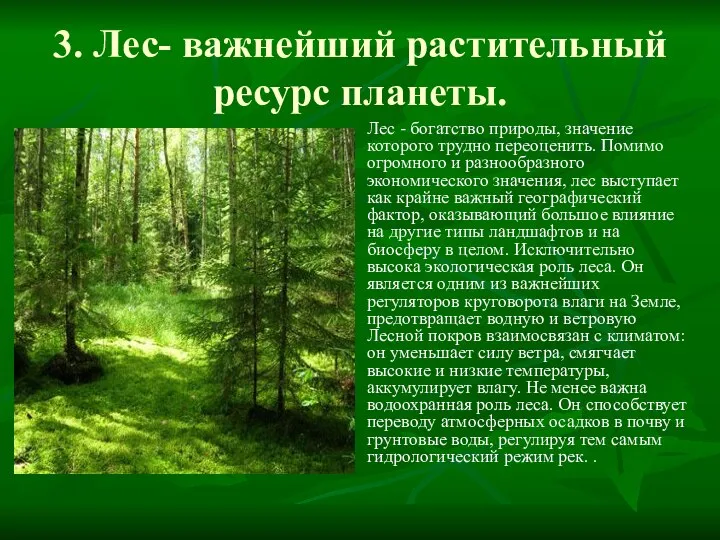 3. Лес- важнейший растительный ресурс планеты. Лес - богатство природы, значение