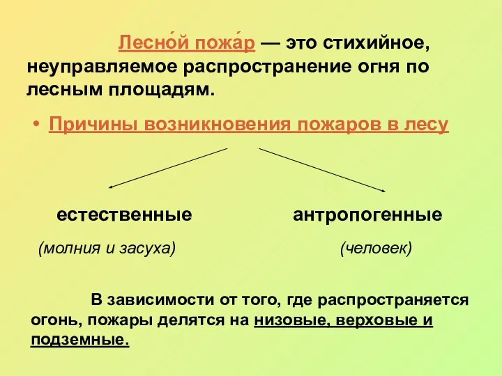 Лесно́й пожа́р — это стихийное, неуправляемое распространение огня по лесным площадям.