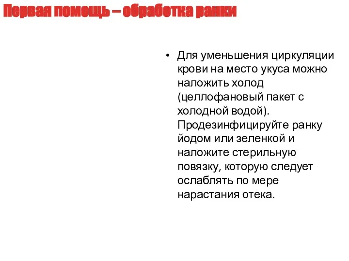 Для уменьшения циркуляции крови на место укуса можно наложить холод (целлофановый