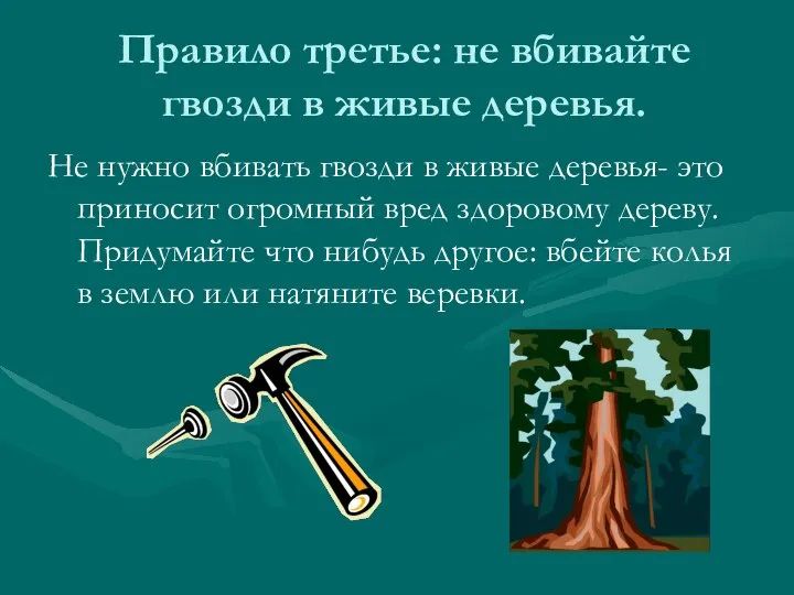 Правило третье: не вбивайте гвозди в живые деревья. Не нужно вбивать