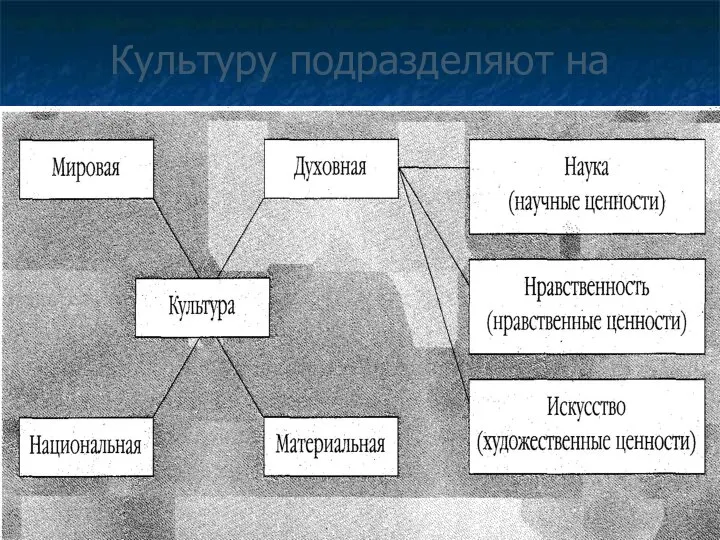 Культуру подразделяют на