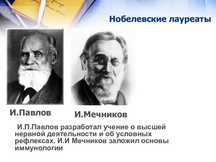 Нобелевские лауреаты И.Мечников И.Павлов И.П.Павлов разработал учение о высшей нервной деятельности