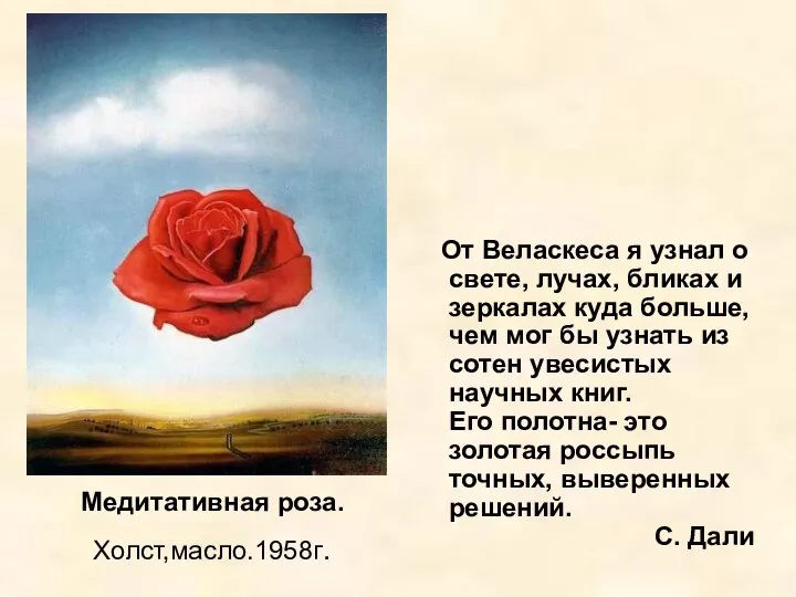 Медитативная роза. Холст,масло.1958г. От Веласкеса я узнал о свете, лучах, бликах