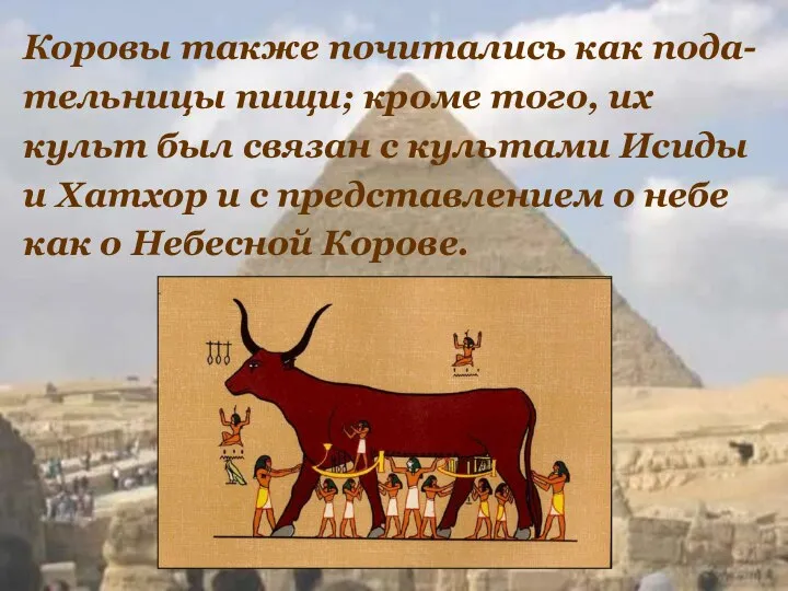 Коровы также почитались как пода- тельницы пищи; кроме того, их культ