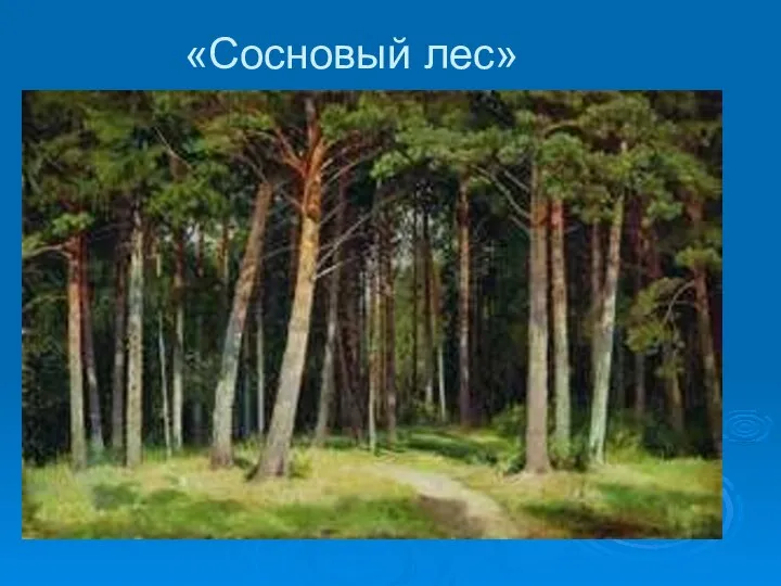 «Сосновый лес»