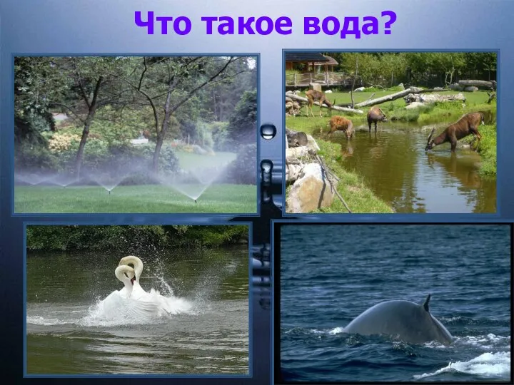 Что такое вода?