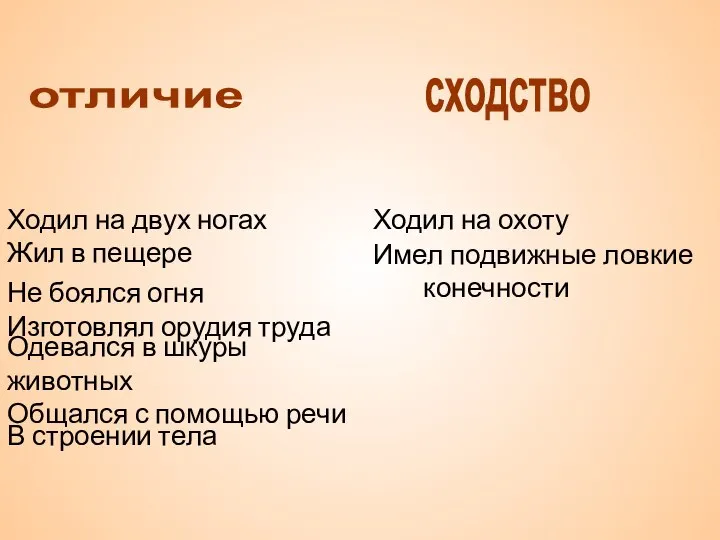 отличие сходство Ходил на двух ногах Жил в пещере Не боялся